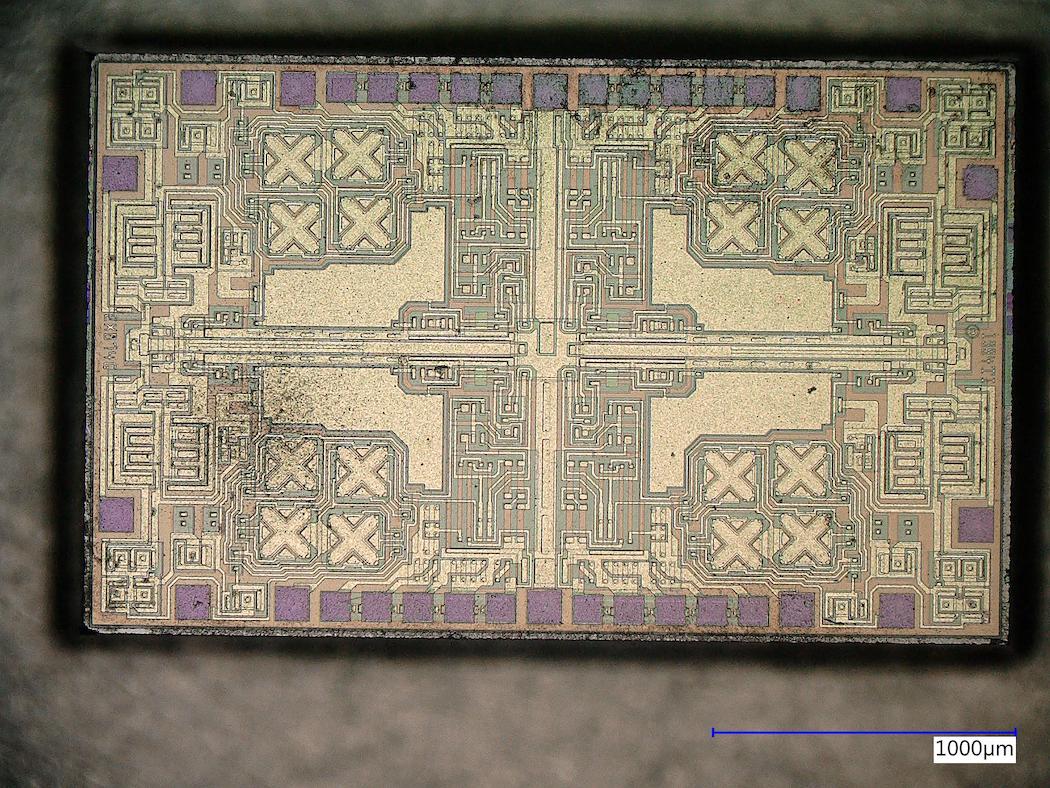 Photo of actual chip with 1000 micrometer scale