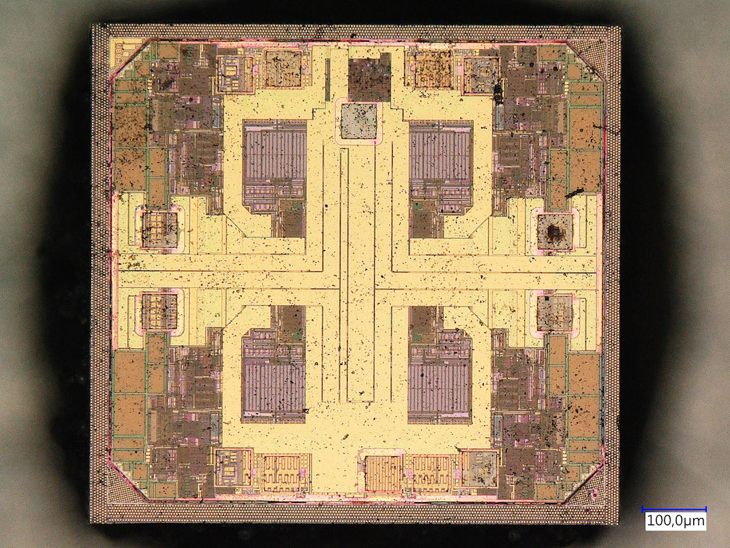 Photo of original chip with 100 micrometer scale